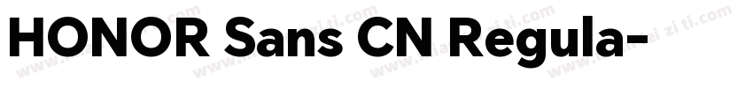 HONOR Sans CN Regula字体转换